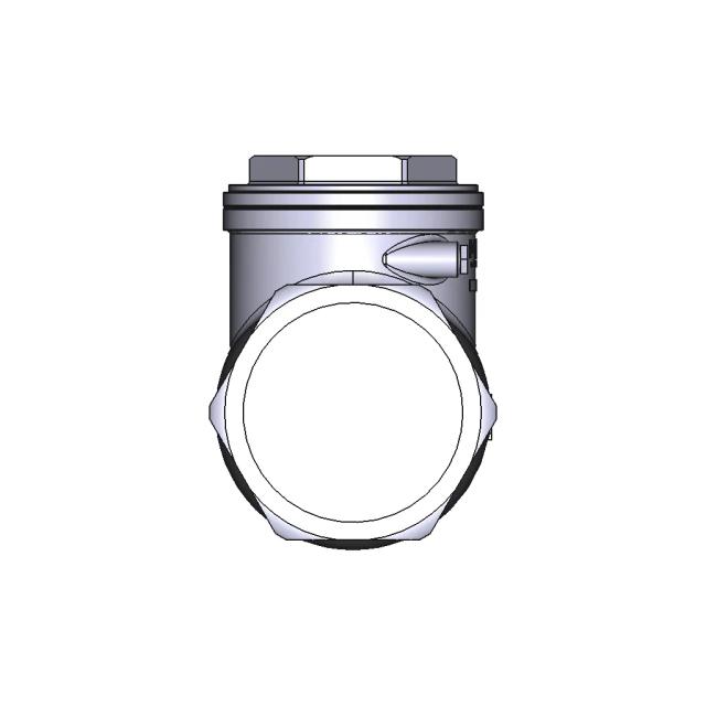 Swing Check Valve — Variant 01