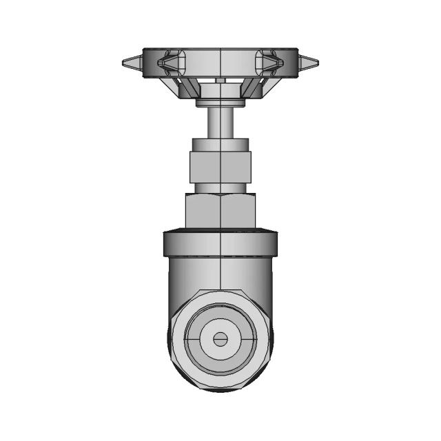1 2 BSP Gate Valve