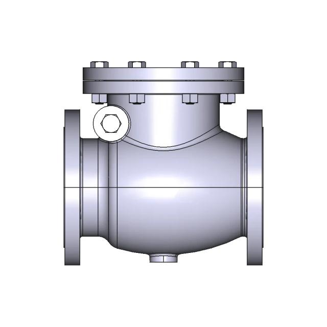 Check Valve