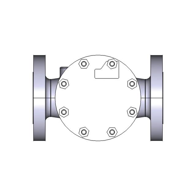 3 Flanged Check Vavle