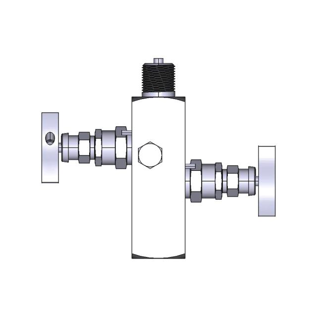 As Schneider Block Bleed Manifold 2 Valve PN420