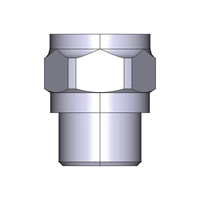 Check Valve 1 2 BSP Male Female Stainless Steel