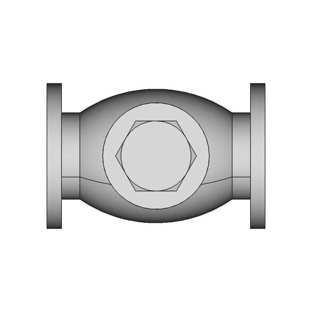 Non Return Valve