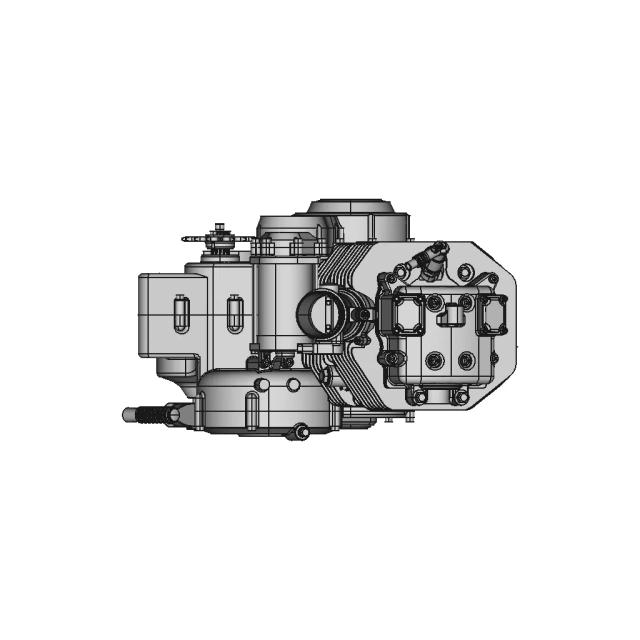 Big Single Motorcycle Engine