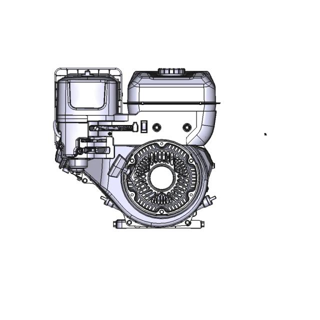 Briggs Stratton Engine