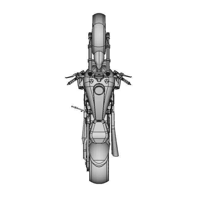Custom Bike