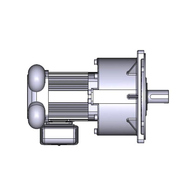 Cylindrical Flanged Gear Motor