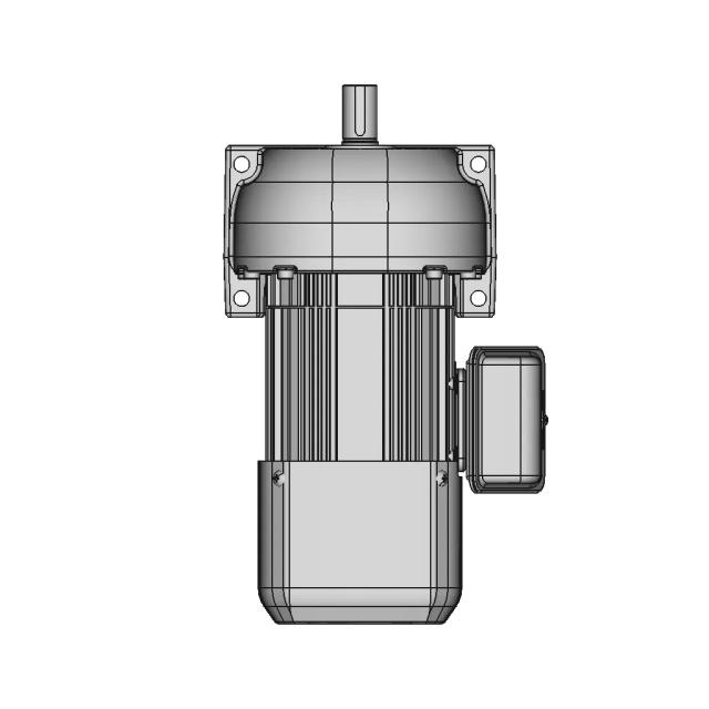 Helical Gear Motor with Brake — Variant 03