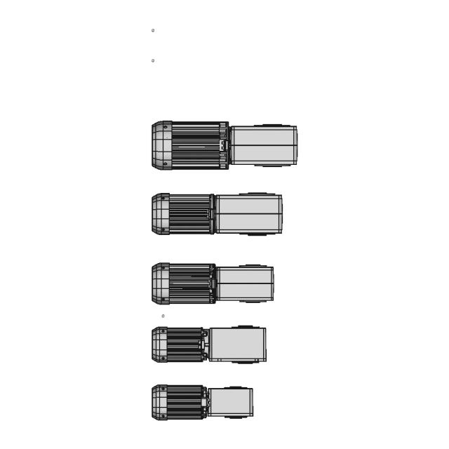 Worm Gear Motor — Variant 05