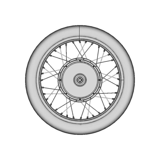 Hub Motor QS205 with Wheel and Spokes