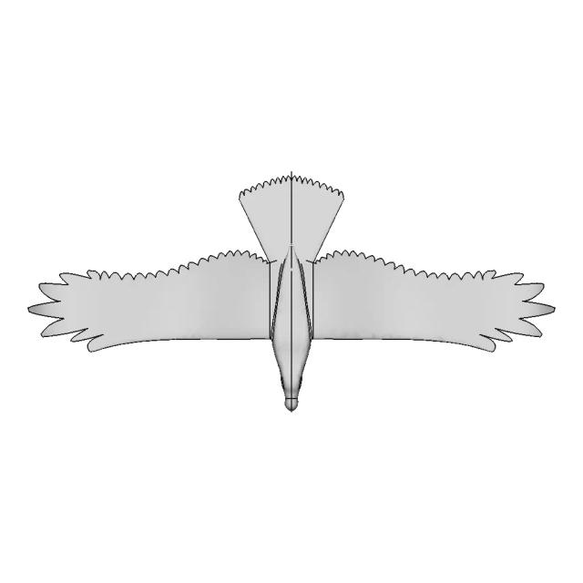 RC Eagle