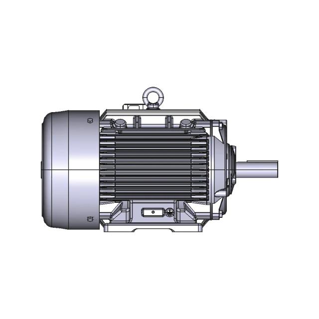Electric Motor 160 m