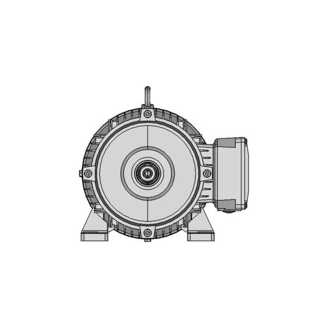 Hoyer Y112 Frame 4 kW Electric Motor