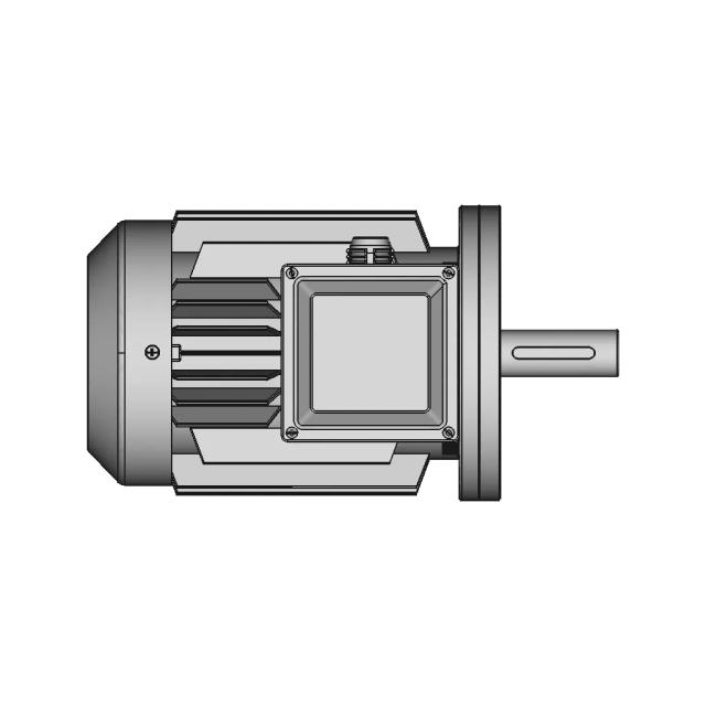 Electric Motor Three Phase