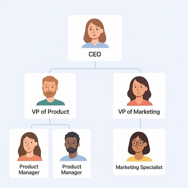 Organization hierarchy